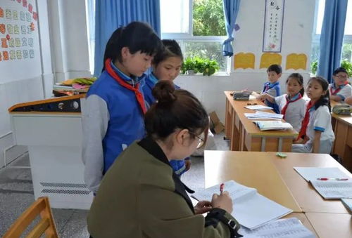 保護森林,熊熊有責 ,學(xué)生花式練字,不給 優(yōu)星 說不過去了