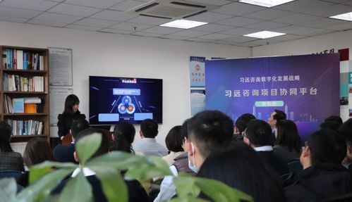 習(xí)遠發(fā)布咨詢項目協(xié)同平臺 信息化系統(tǒng)實現(xiàn)業(yè)務(wù)全覆蓋